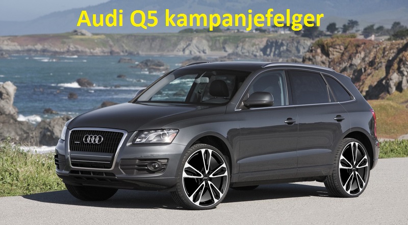 felger-audi-q5